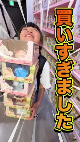 はるひなちゃんねるのTikTok投稿
