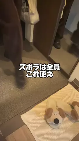 あいりのTikTok投稿