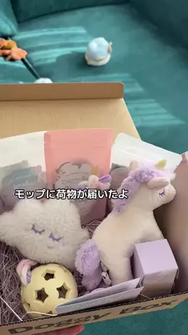 モップのTikTok投稿