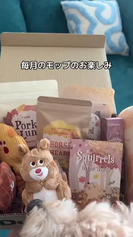 モップのTikTok投稿