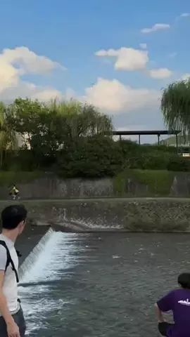 常烈ブルー🟦青い旅人のTikTok投稿