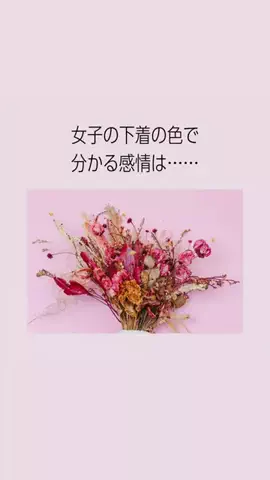 はんなり恋愛手帳のTikTok投稿