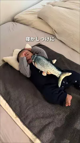 ゆう。元現場監督が叶える快適賃貸のTikTok投稿