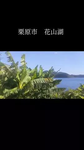 みくのTikTok投稿