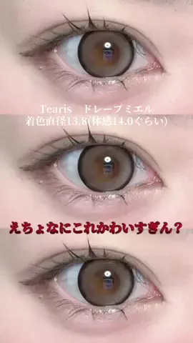 忘れ物のTikTok投稿