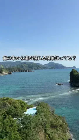 静岡グルメ／SHIZUOKA SELECTのTikTok投稿