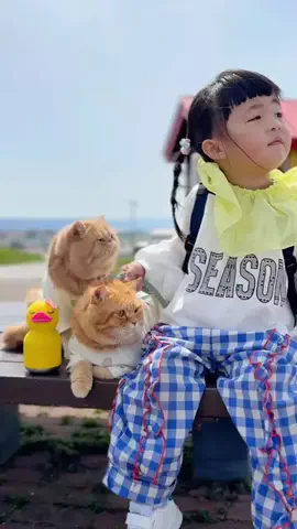 ひなまる色のTikTok投稿