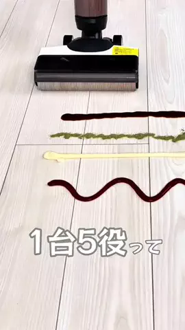 ありのTikTok投稿