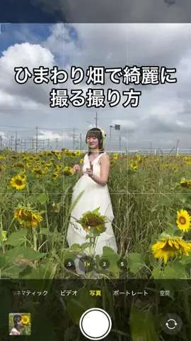 アオトラ📱🛩/スマホで映える撮り方を紹介のTikTok投稿