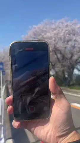 アオトラ📱🛩/スマホで映える撮り方を紹介のTikTok投稿