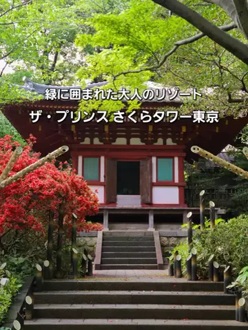yuukaのTikTok投稿