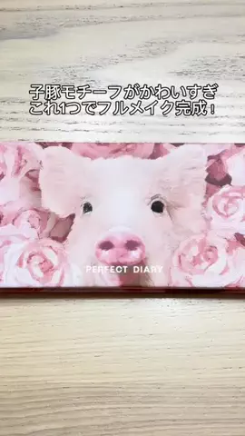 ゆきーのTikTok投稿