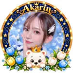 あかりん🐻‍❄️🌷のアイコン