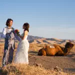 さきしん夫婦旅のアイコン