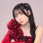 とみとみと🌹のアイコン