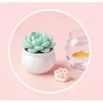 mio_skincaregのアイコン