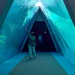 空飛ぶイルカのアイコン
