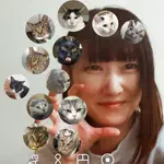 ひかるん🎀山田さんちは猫まみれのアイコン