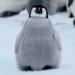 ユナのアイコン