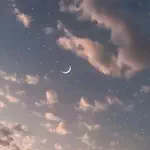 気分屋のアイコン