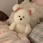サモエドネキのお部屋のアイコン