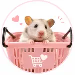 表情豊か系ハムスター🐹【ブー太】🐖のアイコン