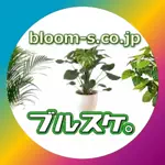 ブルーミングスケープのアイコン