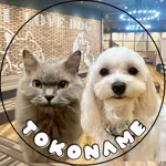 いぬねこカフェRio常滑店のアイコン