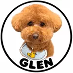 トイプードルのグレン君Hi i'm GLEN🐶のアイコン