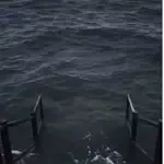 恋愛のリアルのアイコン