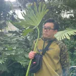 せーや🤓1人で出来るもんのアイコン