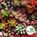 No.378_（なんばーさんななはち）のアイコン