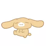 양이🌙やんい｜韓国オンニになりたいアラサーのアイコン