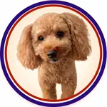 Bailey in Japanのアイコン