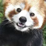 なかじまのアイコン