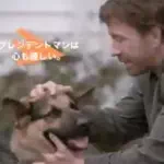 ssbushiのアイコン