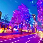 きのてっくのアイコン