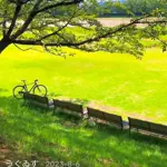 matsushitayuutoのアイコン
