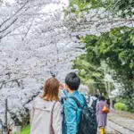 えいしとさなです。AAAのアイコン