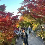 kzshing japan shopのアイコン