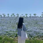 ひよりの美容記録のアイコン