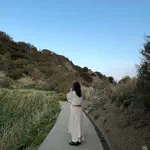 meiのアイコン