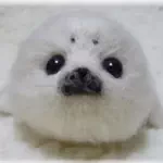 パピコのアイコン