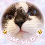 🐈みみちゃんねる🐈のアイコン