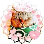 東健二のアイコン