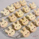 うさぎ🐰のアイコン