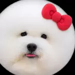 動物村長😻のアイコン