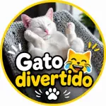 手作りスイーツ動画 🍰✨のアイコン