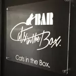 Bar Cats in the Boxのアイコン