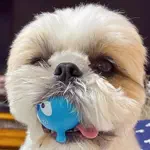 しんちゃん🐶カインズ強火ヲタの犬のアイコン